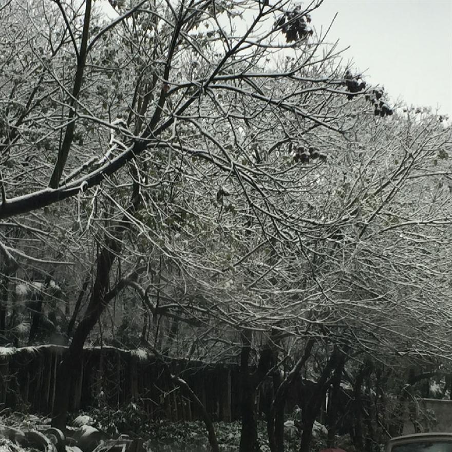 濾油機_重慶的雪美極啦